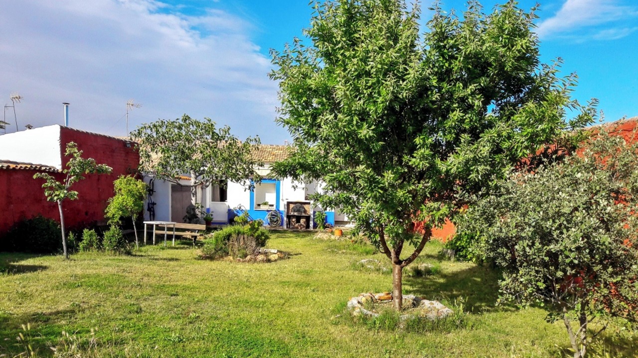 Photo of Outdoor in Picon