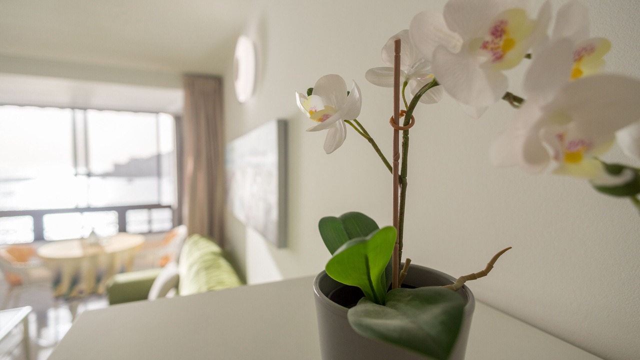 Photo of Livingroom in Patalavaca