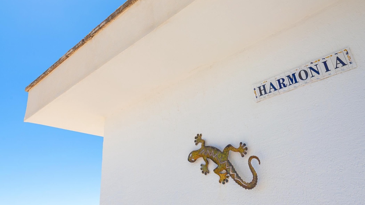 Photo of Outdoor in Portocolom