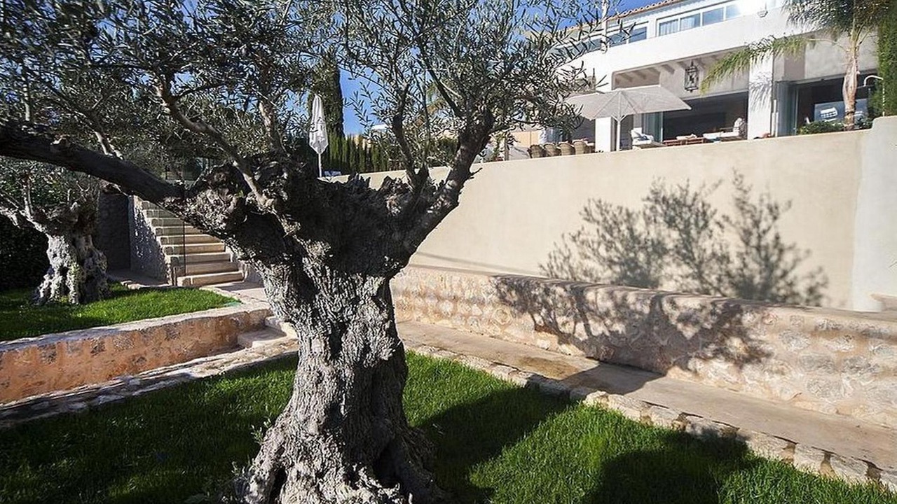 Photo of Outdoor in Palma de Mallorca