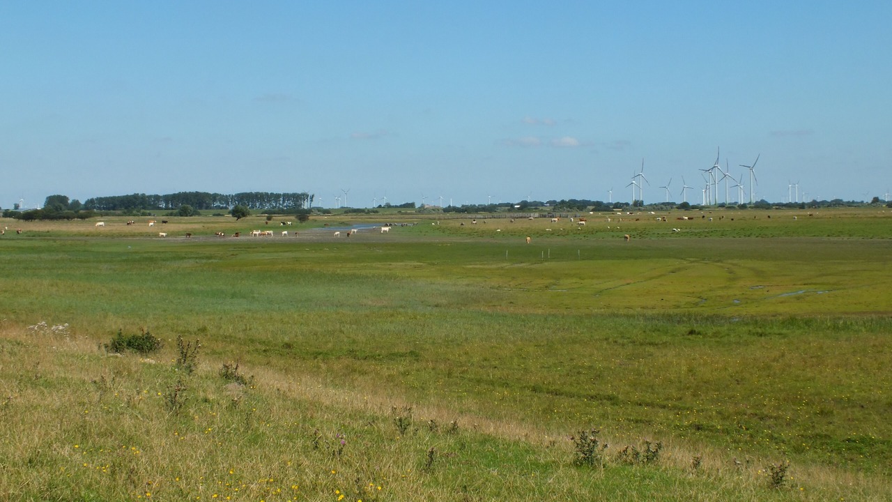 Photo of Others in Oesterdeichstrich
