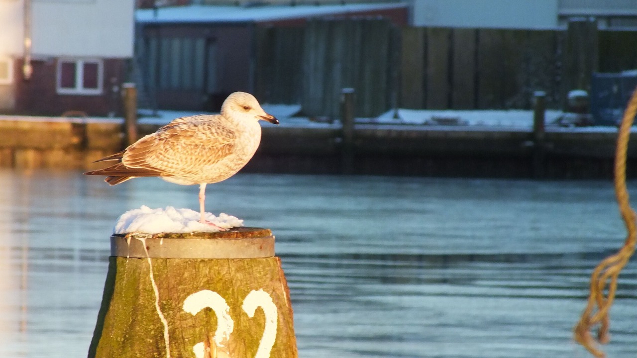 Photo of Others in Oesterdeichstrich