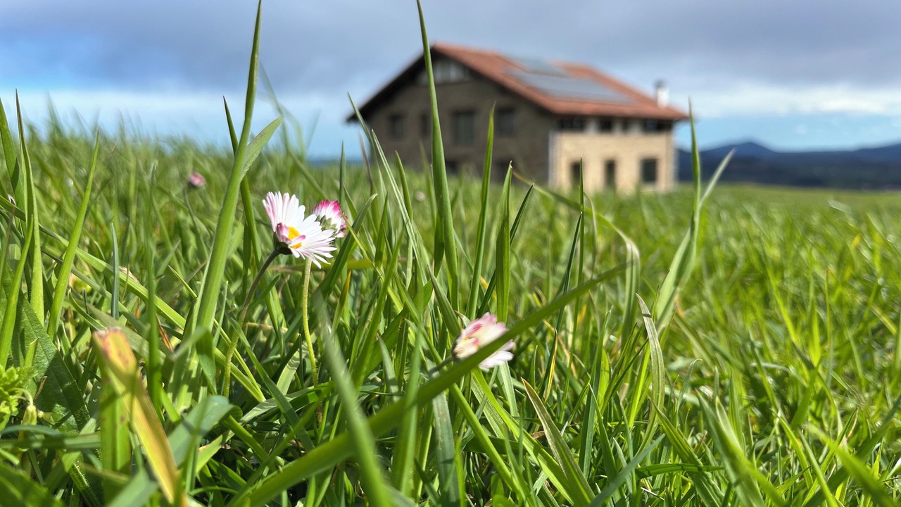 Photo of Outdoor in Aia