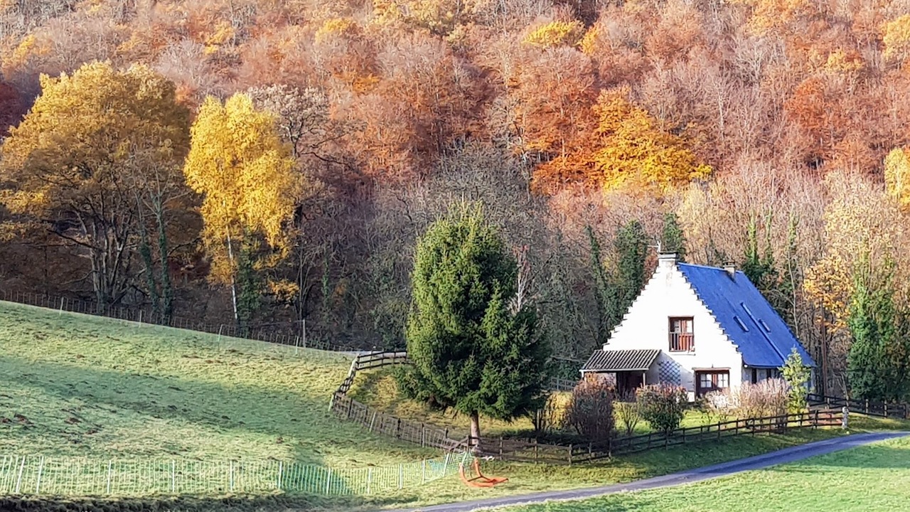 Photo of Outdoor in Campan