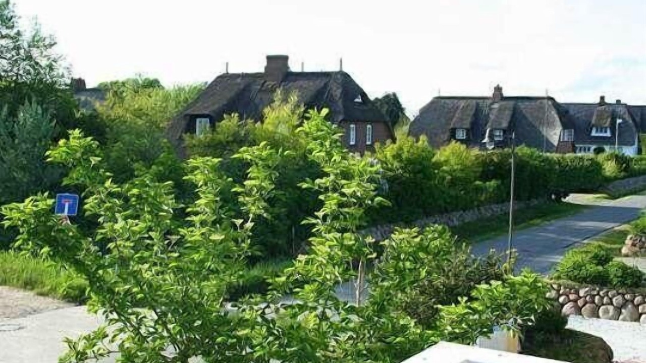 Photo of Outdoor in Archsum