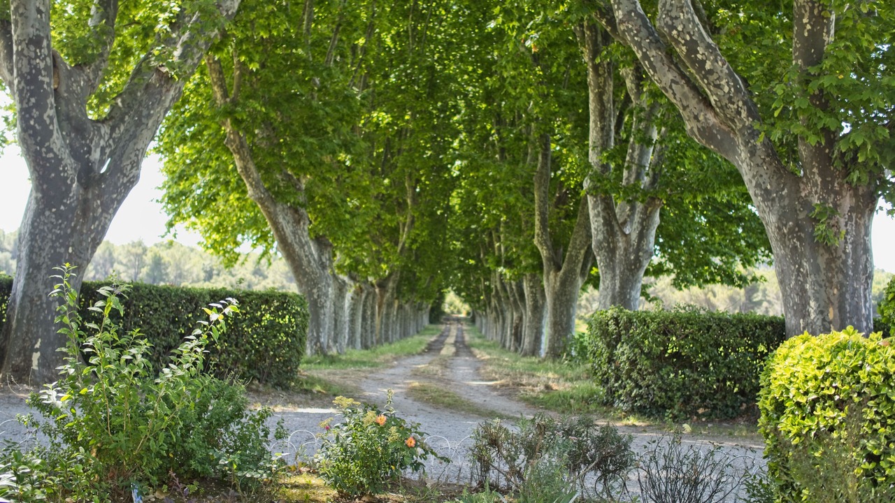 Photo of Outdoor in Saint-Chamas