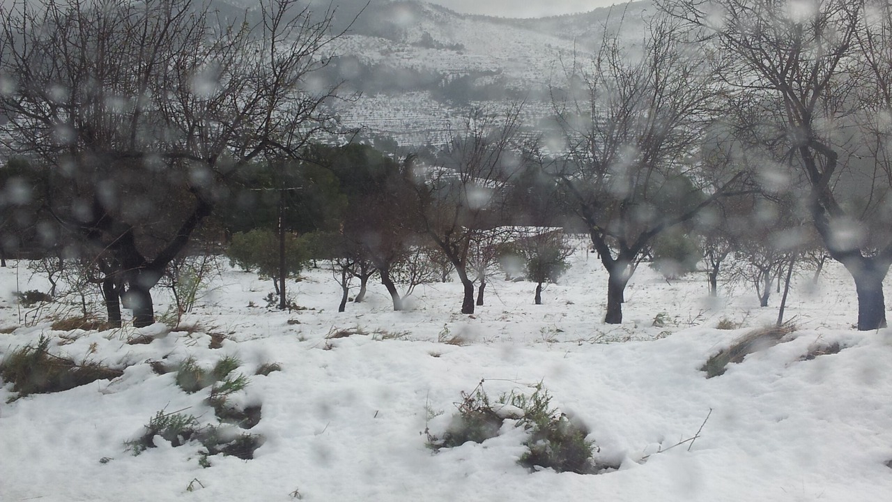 Photo of Outdoor in Torremanzanas