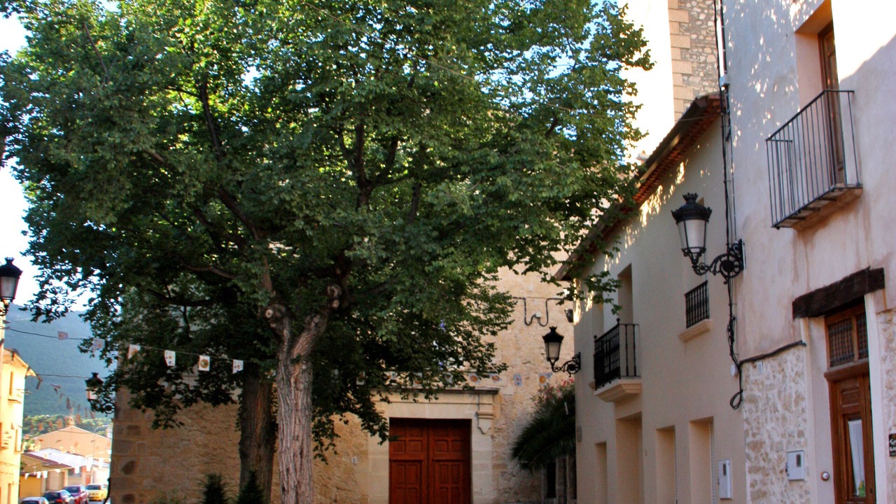 Photo of Others in Torremanzanas