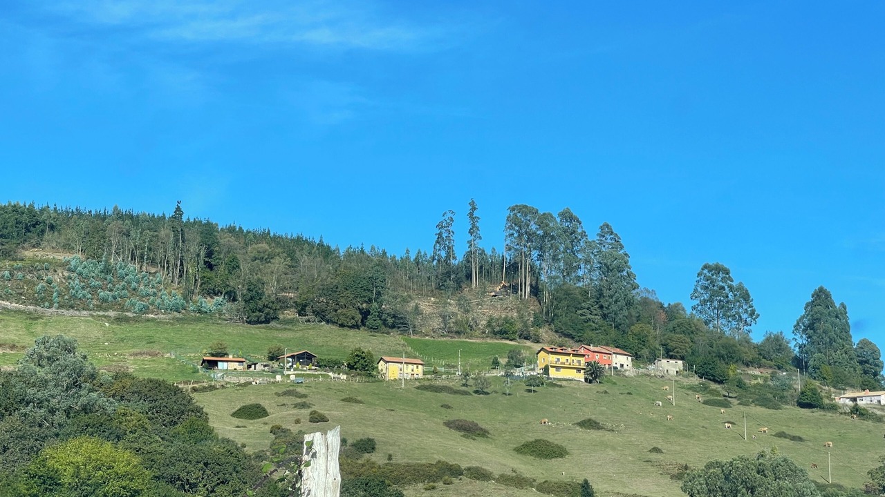 Photo of Others in Tresvilla