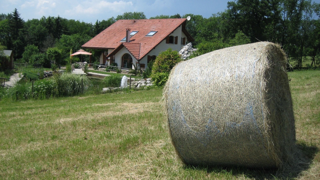 Photo of Outdoor in Choisy