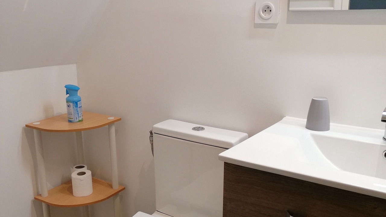 Photo of Bathroom in Ribaute-les-Tavernes