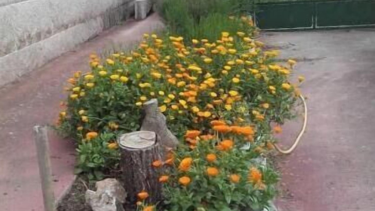 Photo of Outdoor in O Savinao