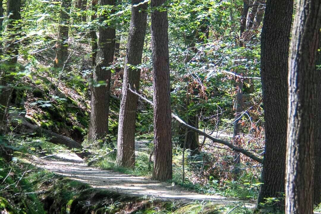 Photo of Others in Schierke