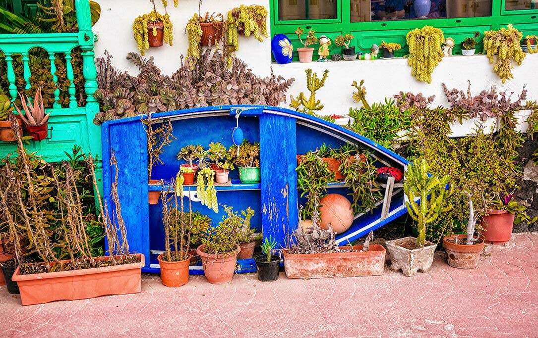 Photo of Outdoor in Arrieta