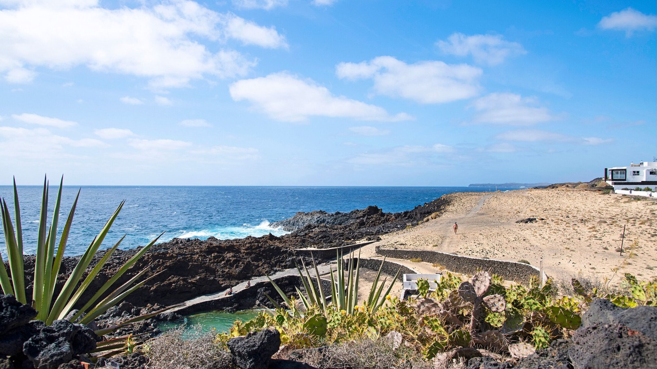 Photo of Others in Charco del Palo