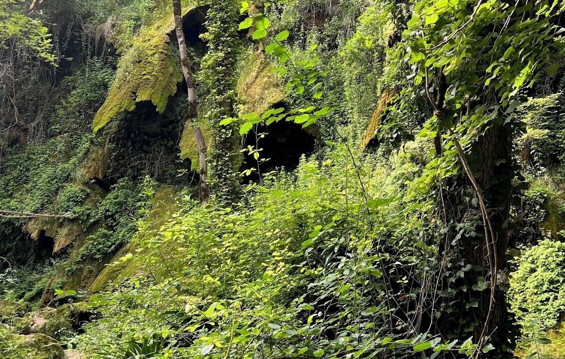 Photo of Outdoor in Chalabre