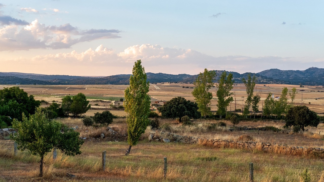 Photo of Others in Villar de Corneja