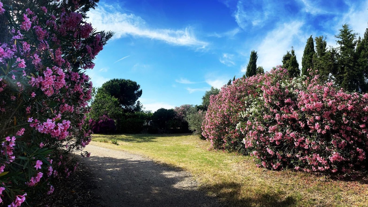 Photo of Outdoor in Botarell