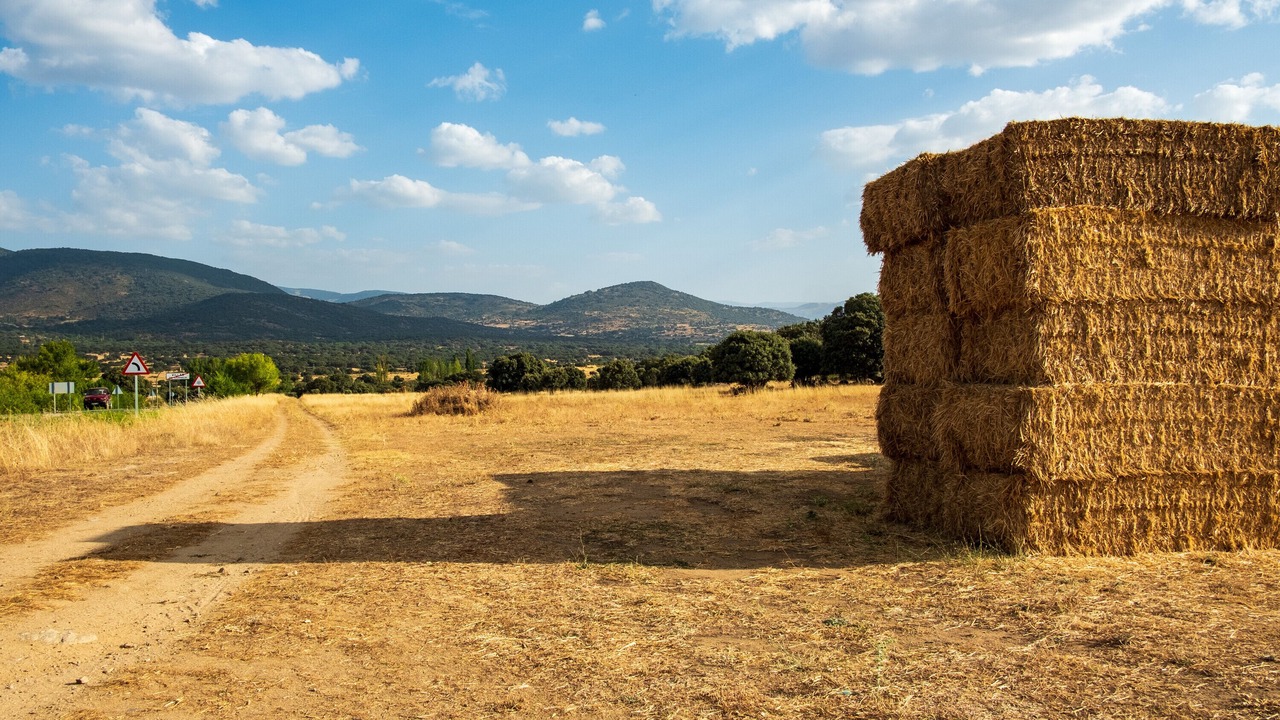 Photo of Others in Villar de Corneja