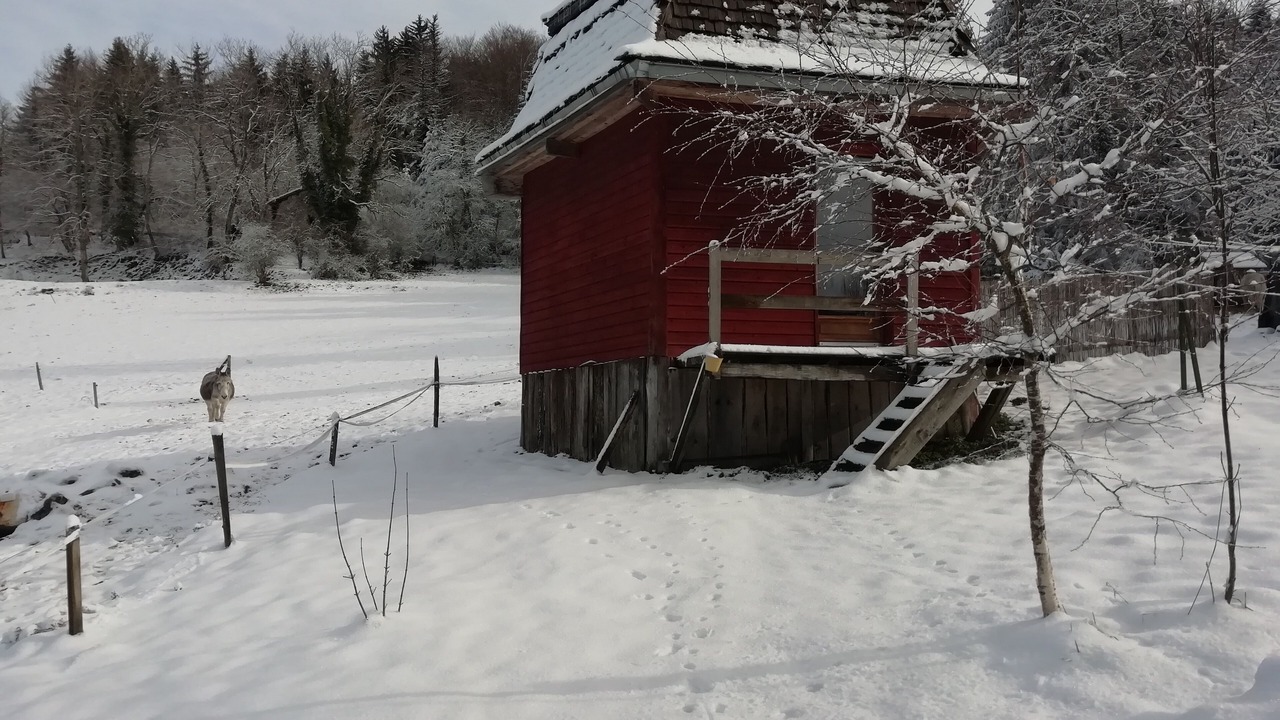 Photo of Outdoor in Miribel-les-Echelles