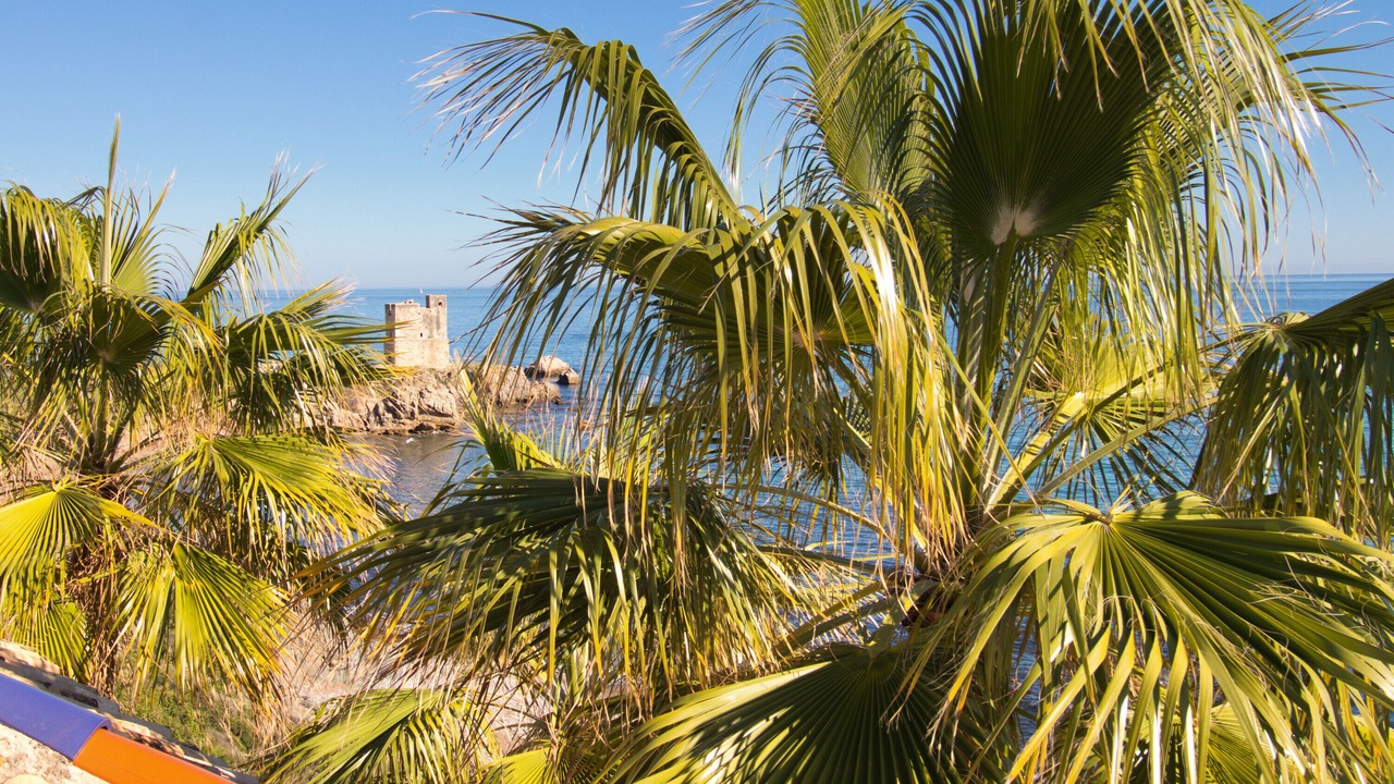 Photo of Others in Bahia de Casares