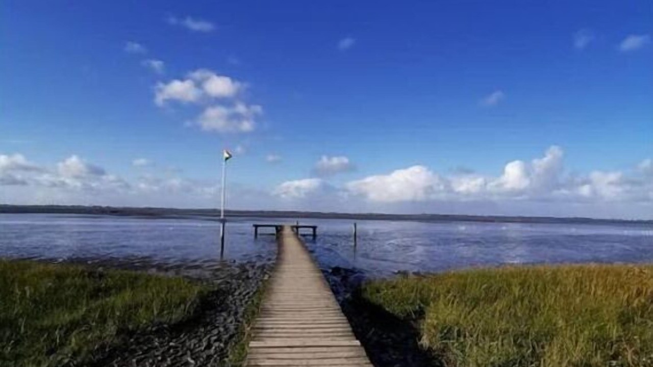 Photo of Others in Dangast