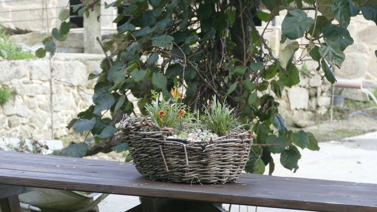 Photo of Outdoor in Tui