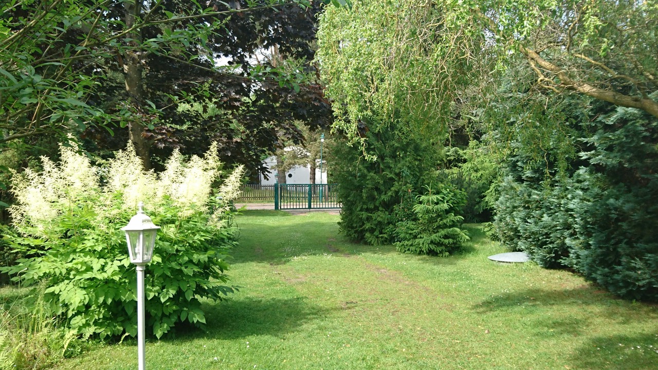 Photo of Outdoor in Freest