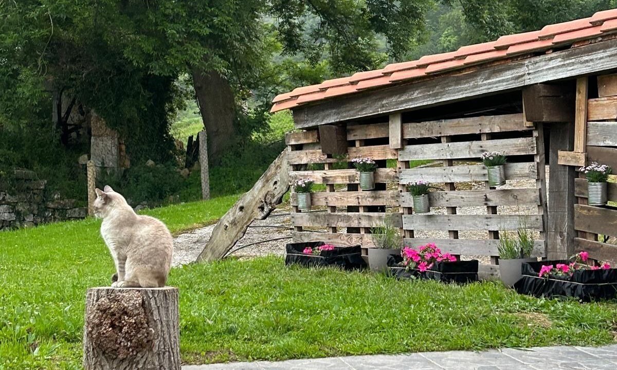 Photo of Outdoor in Riotuerto