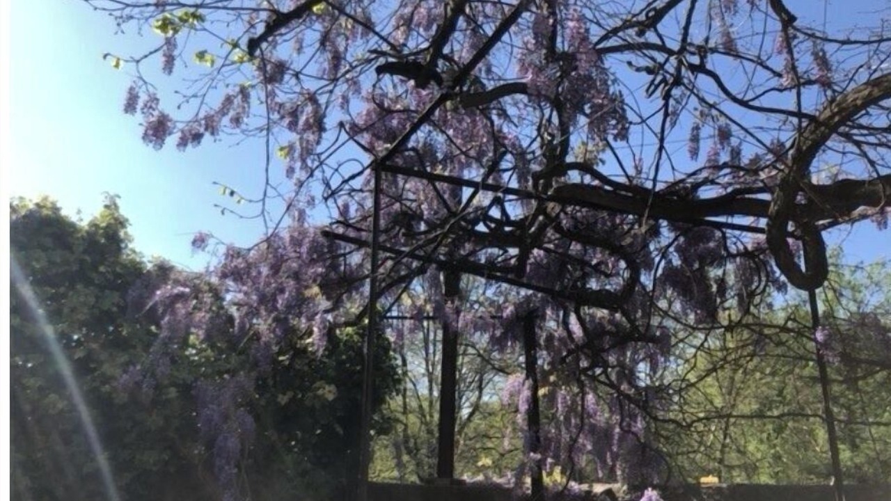 Photo of Outdoor in Laroque