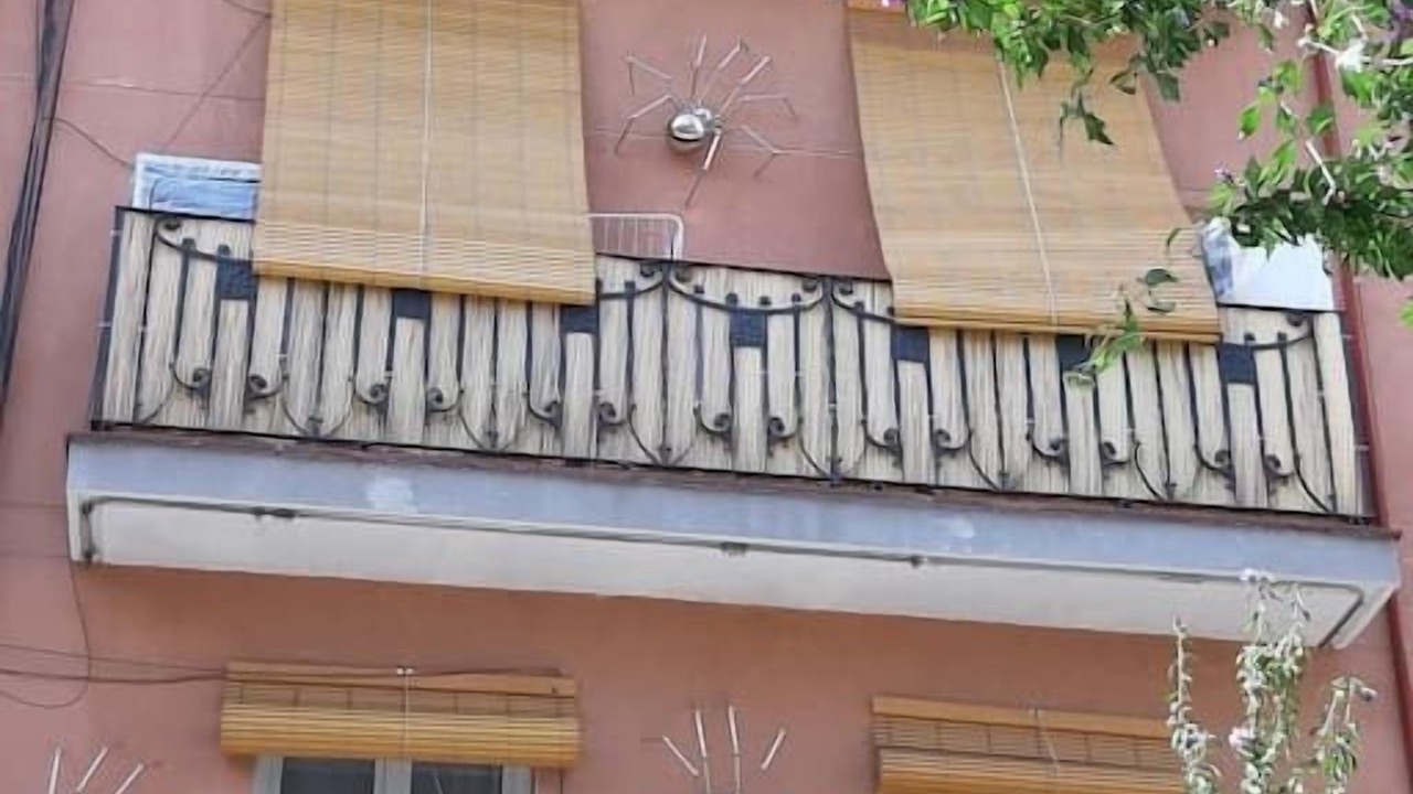 Photo of Outdoor in El Port