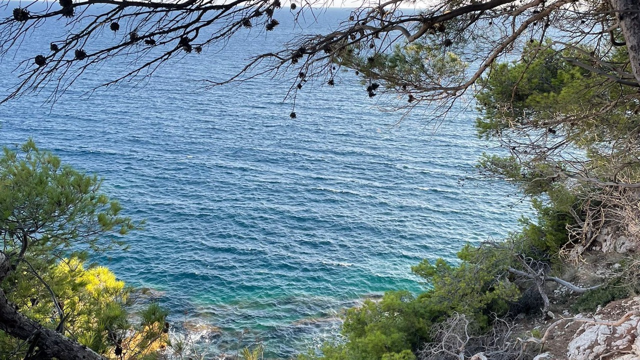 Photo of Others in Niolon
