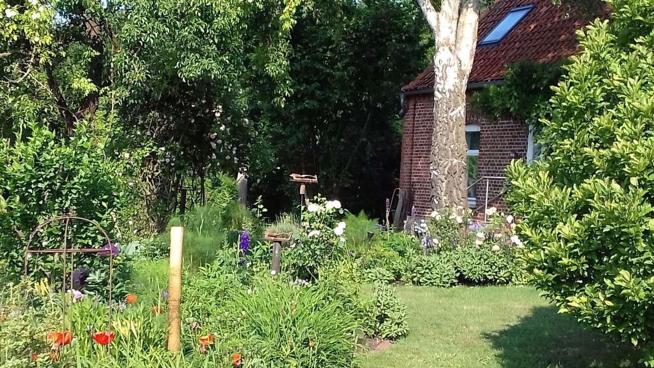 Photo of Outdoor in Syke