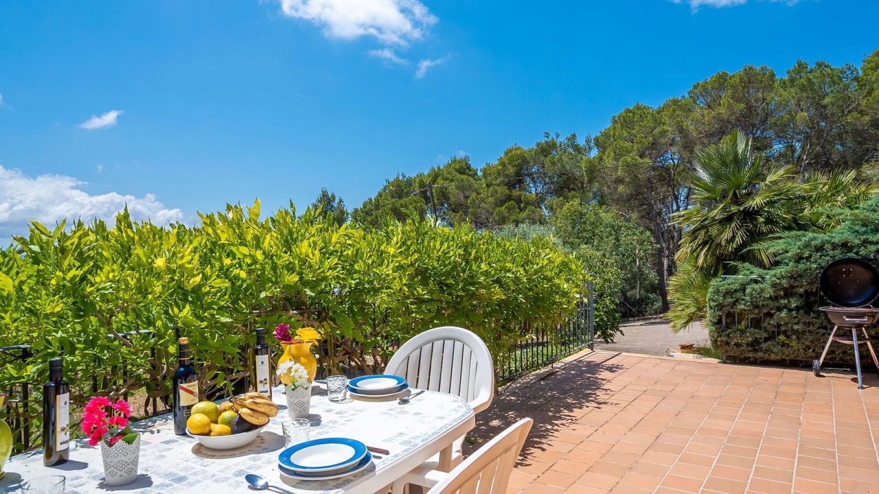 Photo of Outdoor in Portol