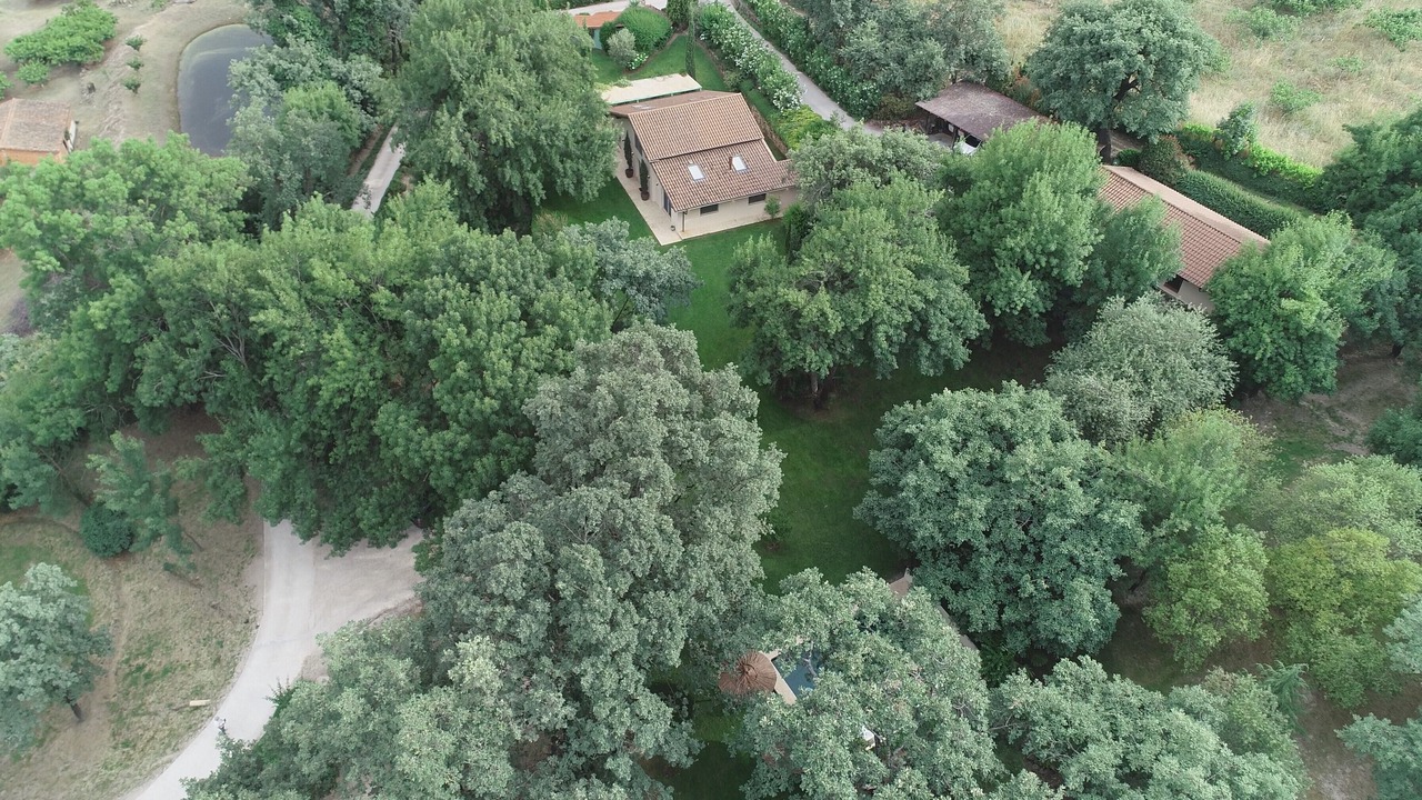Photo of Outdoor in El Raso