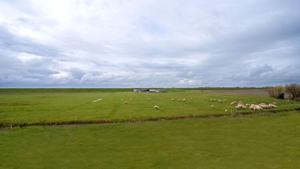 Photo of Others in Karolinenkoog