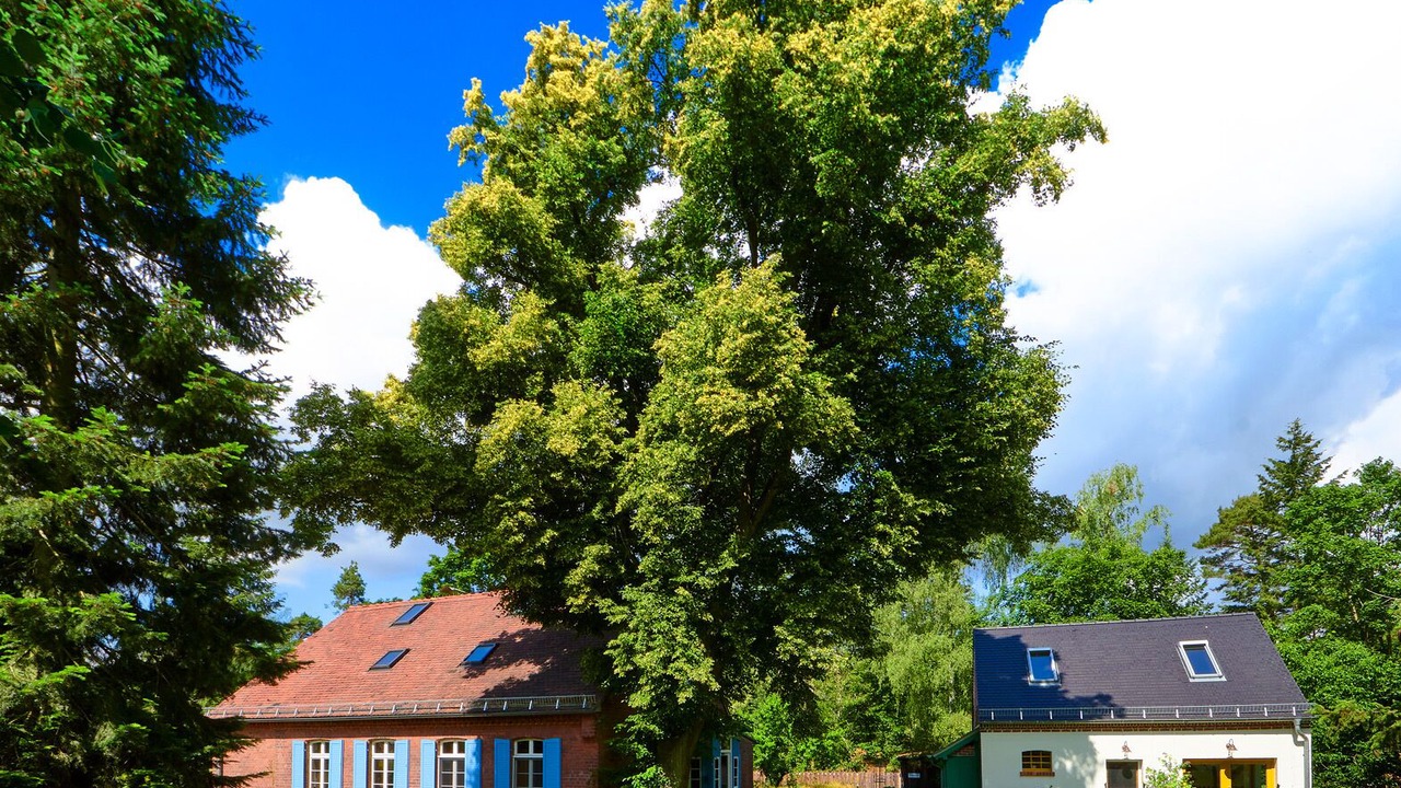 Photo of Outdoor in Buckautal