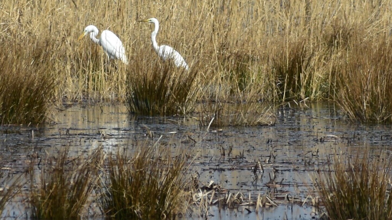 Photo of Others in Hohennauen