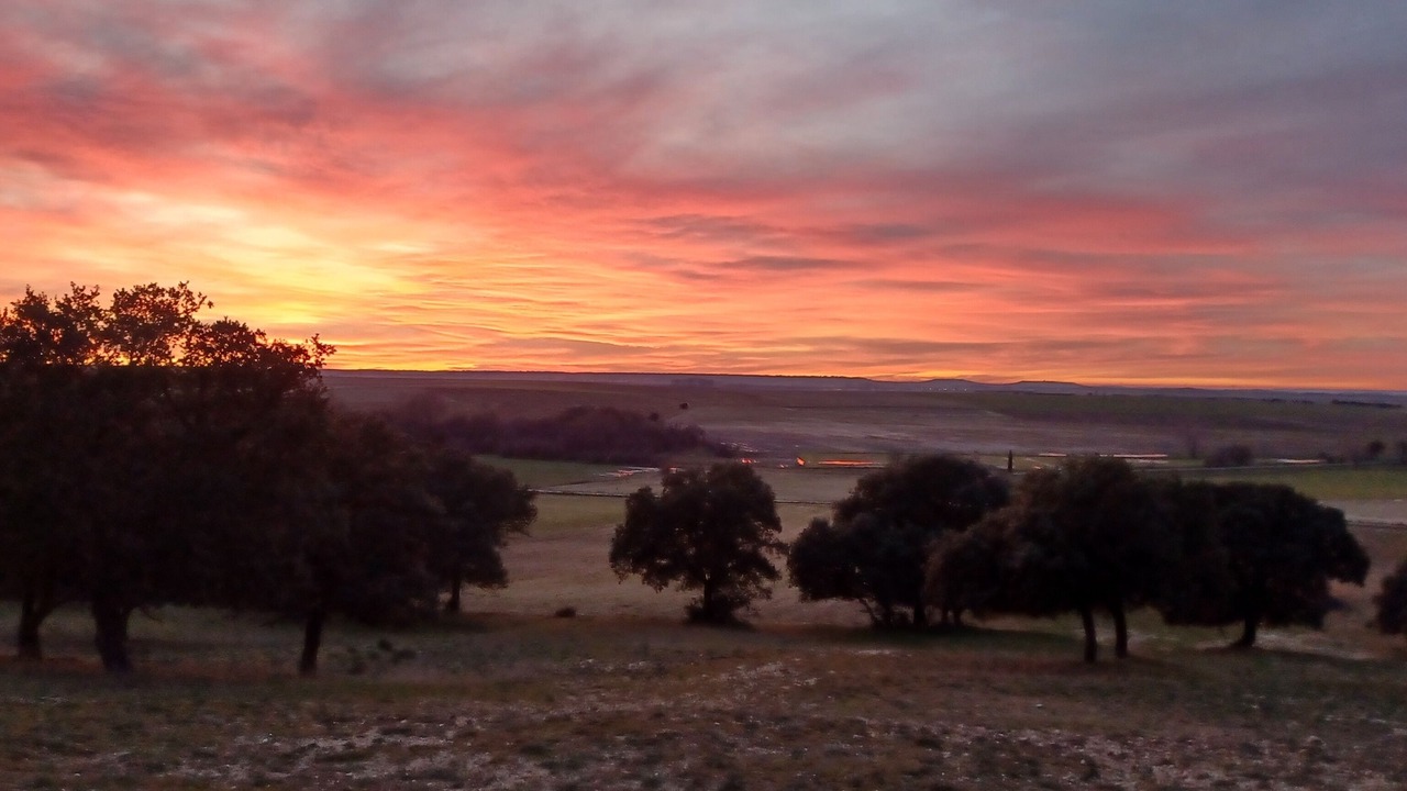 Photo of Others in Santa Maria la Real de Nieva