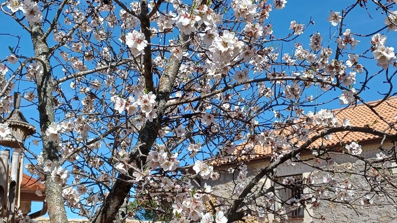 Photo of Outdoor in Santa Maria la Real de Nieva