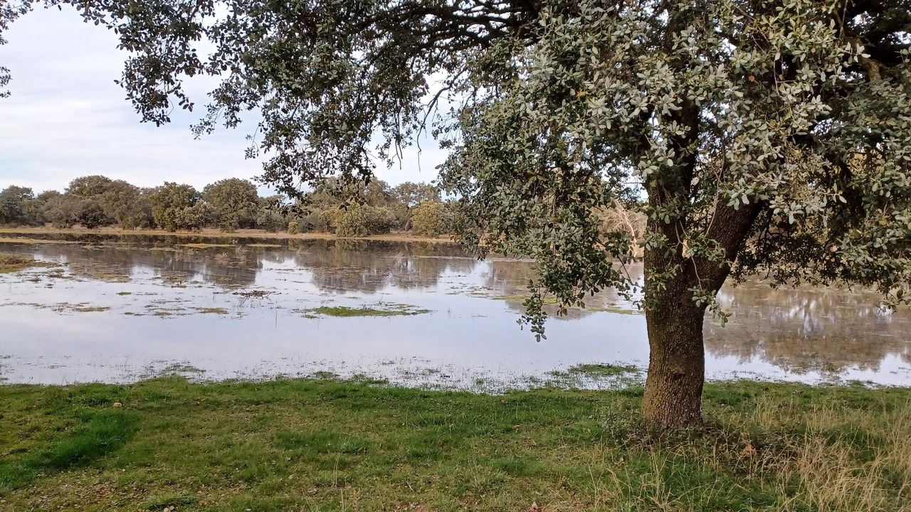 Photo of Outdoor in Santa Maria la Real de Nieva