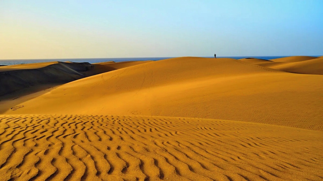 Photo of Others in Playa del Ingles