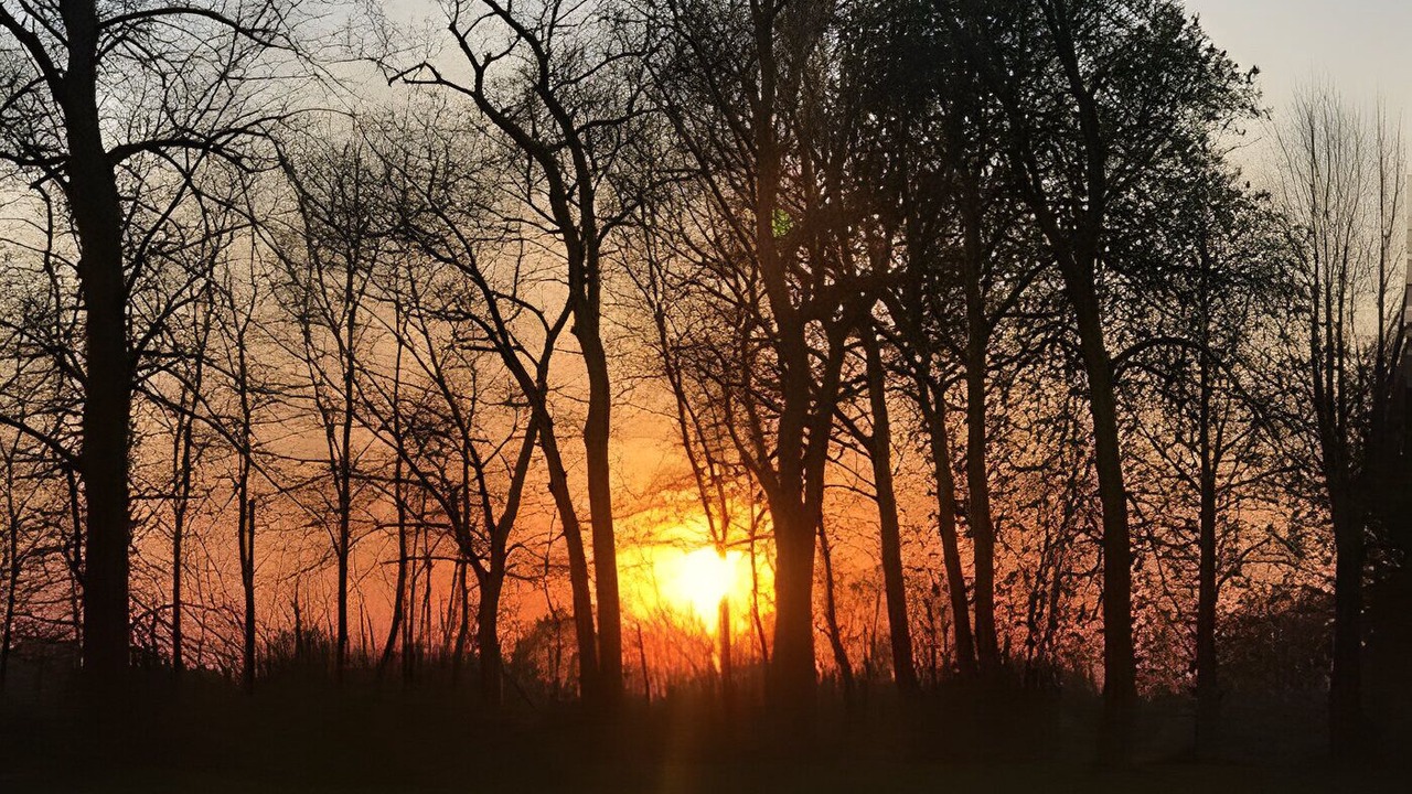 Photo of Others in Kalkhorst