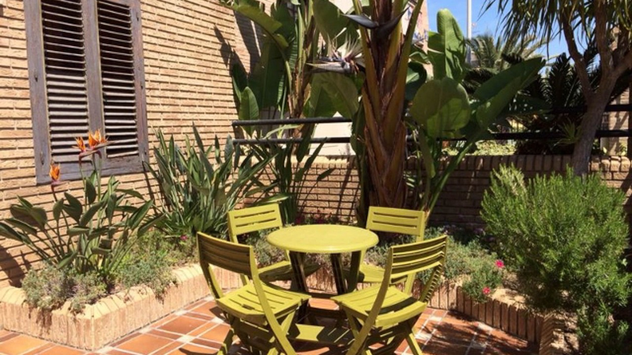 Photo of Outdoor in La Malva-rosa