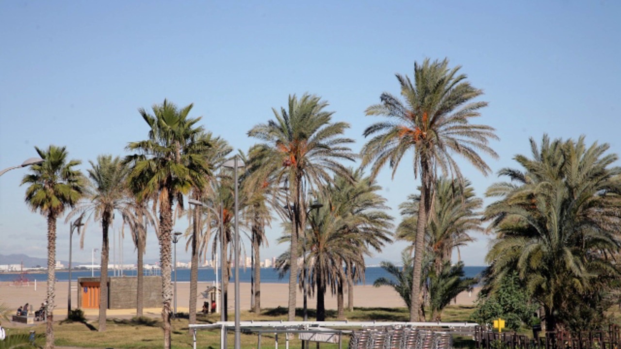 Photo of Others in La Malva-rosa