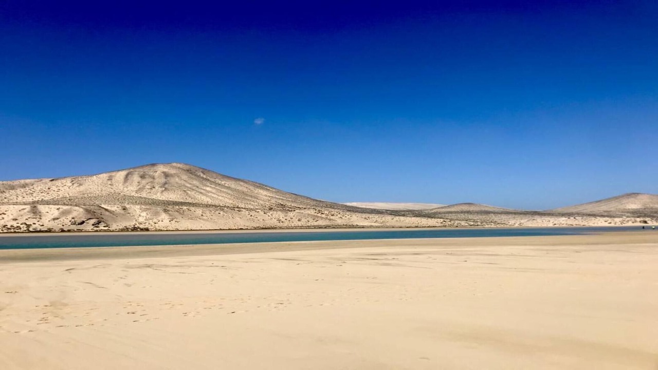 Photo of Others in Solana del Matorral