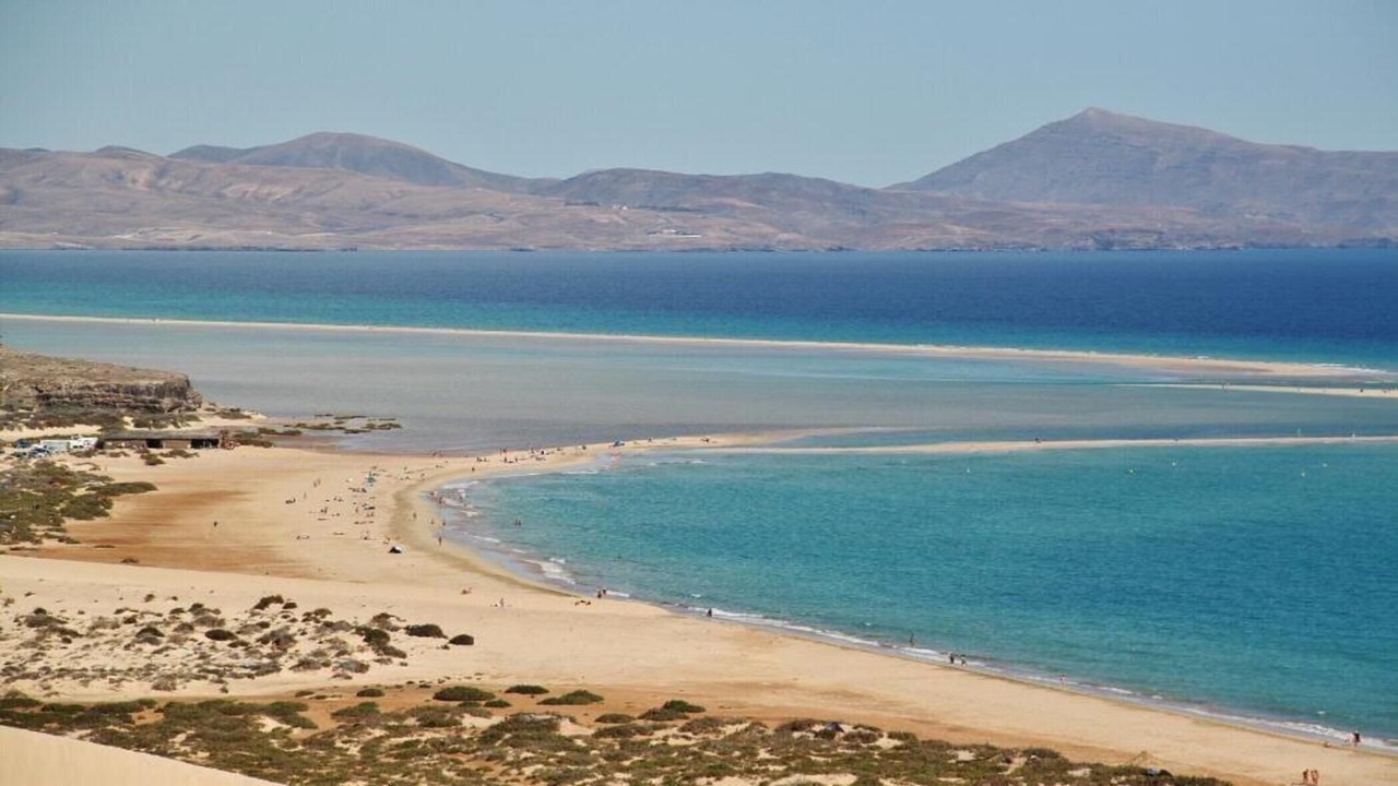 Photo of Others in Solana del Matorral
