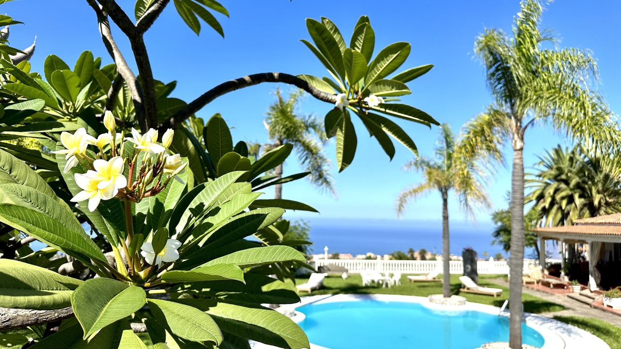 Photo of Outdoor in Los Realejos