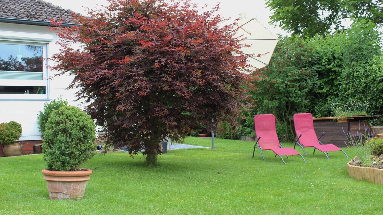 Photo of Outdoor in Region Hannover District