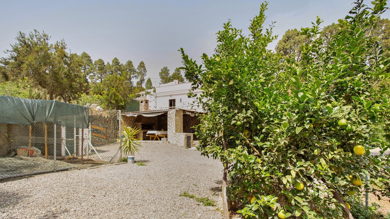 Photo of Outdoor in Icod de los Vinos